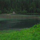 20062012wasde01003 _23_.JPG