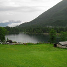 20062012wasde01003 _25_.JPG