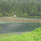 20062012wasde01003 _24_.JPG