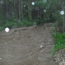 20062012wasde01003 _12_.JPG