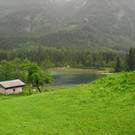 20062012wasde01003 _21_.JPG