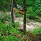 20062012wasde01003 _18_.JPG
