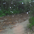 20062012wasde01003 _4_.JPG