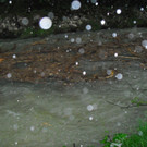 20062012wasde01003 _3_.JPG