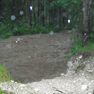 20062012wasde01003 _13_.JPG