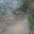 20062012wasde01003 _6_.JPG