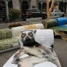 normal_20062012fmt_kunstbaenke_fm_03.JPG