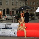 normal_20062012fmt_kunstbaenke_fm_04.JPG