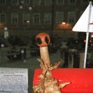 normal_20062012fmt_kunstbaenke_fm_16.JPG