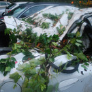 20062012_Unwetter Bez_ NK_Teil 1 _23_.jpg