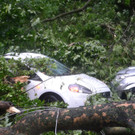 20062012_Unwetter Bez_ NK_Teil 2 _25_.jpg