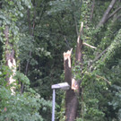 20062012_Unwetter Bez_ NK_Teil 2 _28_.jpg