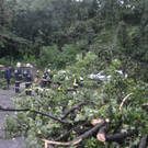 20062012_Unwetter Bez_ NK_Teil 2 _29_.jpg