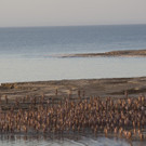 DAB0977-20110917.jpg