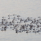 DAB0958-20110917.jpg