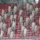 Austria_Nude_Photos_LST105.jpg