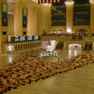 245500.jpg