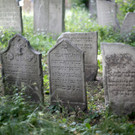 ABD0089-20120621.jpg