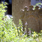 ABD0090-20120621.jpg