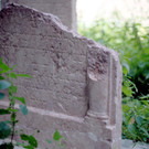 ABD0091-20120621.jpg