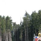 Flugzeugabsturz120621007.jpg