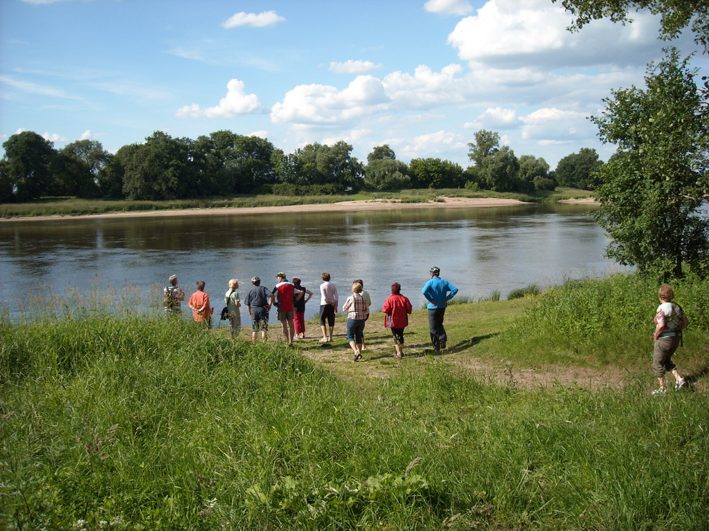 DSCN2364_JPG-1340298857