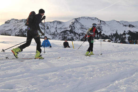 Auf der Weissenfluh Alpe.jpg