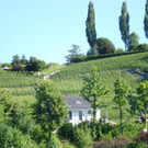 K1024_Turnier Pully 2012 _30_.JPG