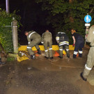 ABD0024-20120621.jpg