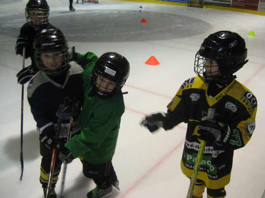 Posch_inatura_Eishockey 093.JPG