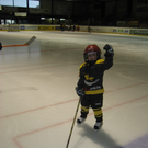 Posch_inatura_Eishockey 097.JPG