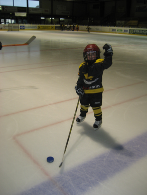 Posch_inatura_Eishockey 097.JPG
