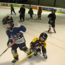 Posch_inatura_Eishockey 103.JPG