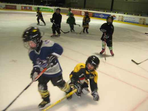 Posch_inatura_Eishockey 103.JPG