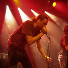 11776157.jpg