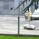 Foto 1.JPG