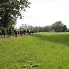IMG_9822_jpg-1340466564