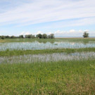IMG_9824_jpg-1340466565