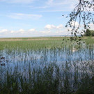 IMG_9851_jpg-1340466578