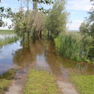 IMG_9852_jpg-1340466580