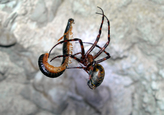 hoehlenexpedition3.JPG