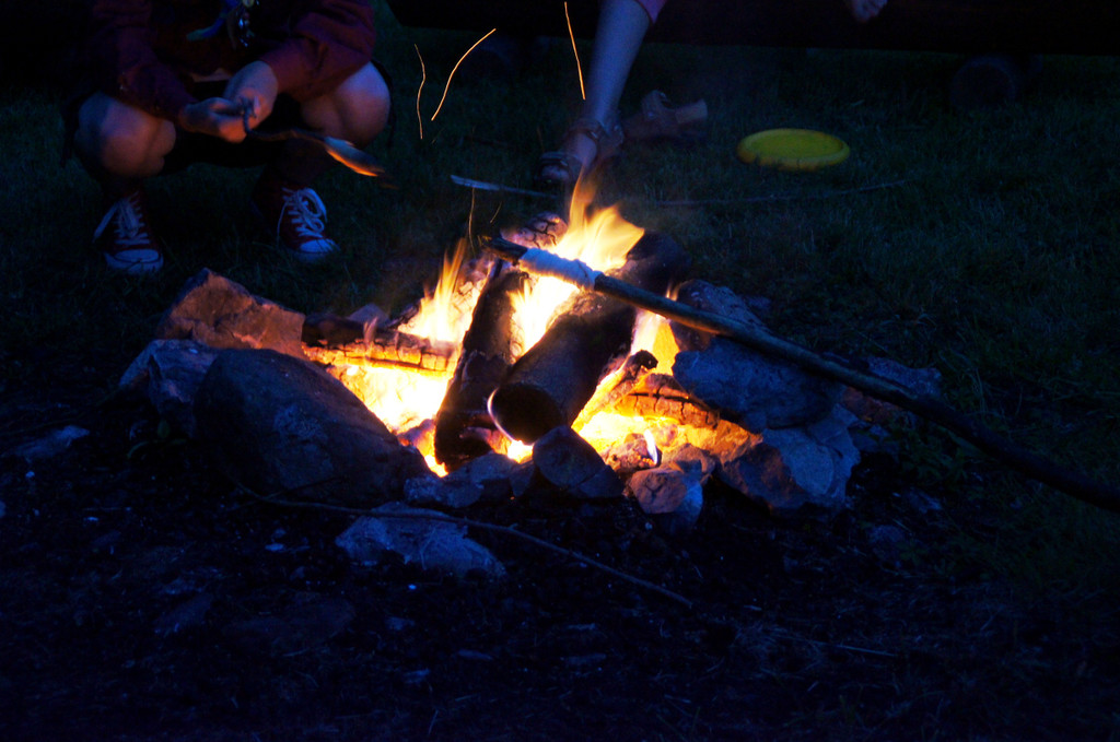 DSC04093_JPG-1340488728