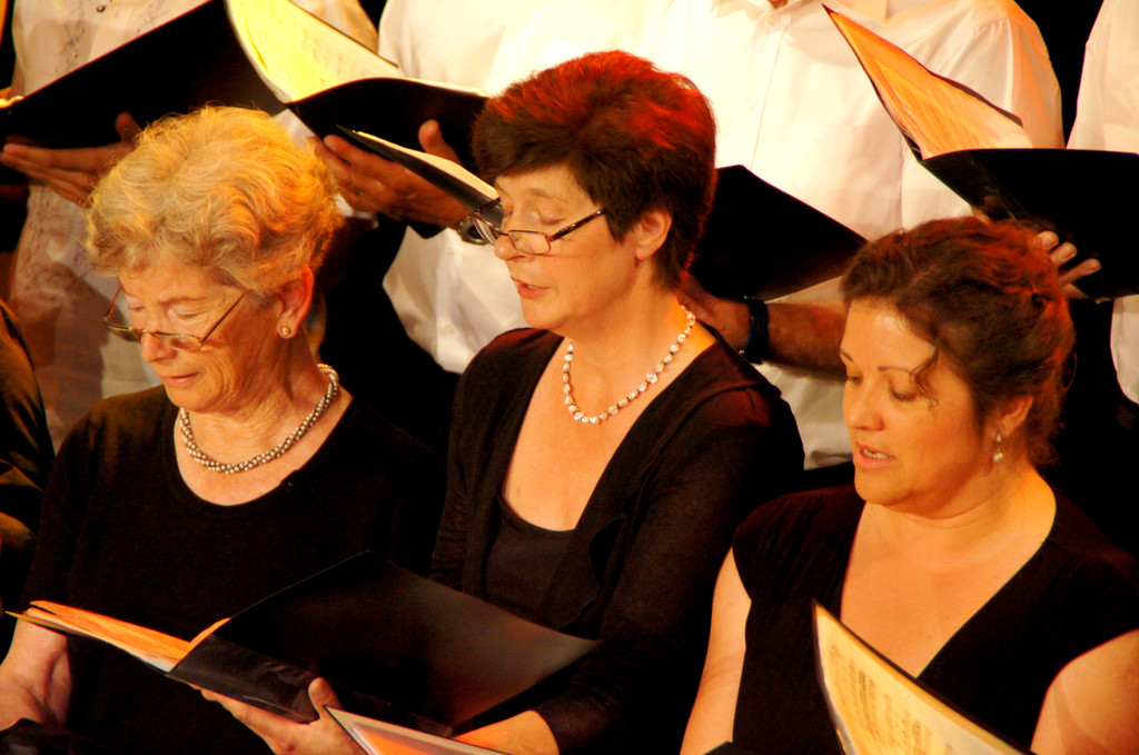 DSC04071_JPG-1340521644