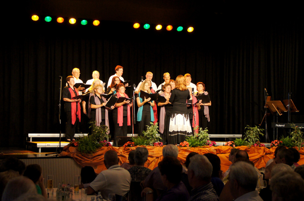 DSC04078_JPG-1340521691