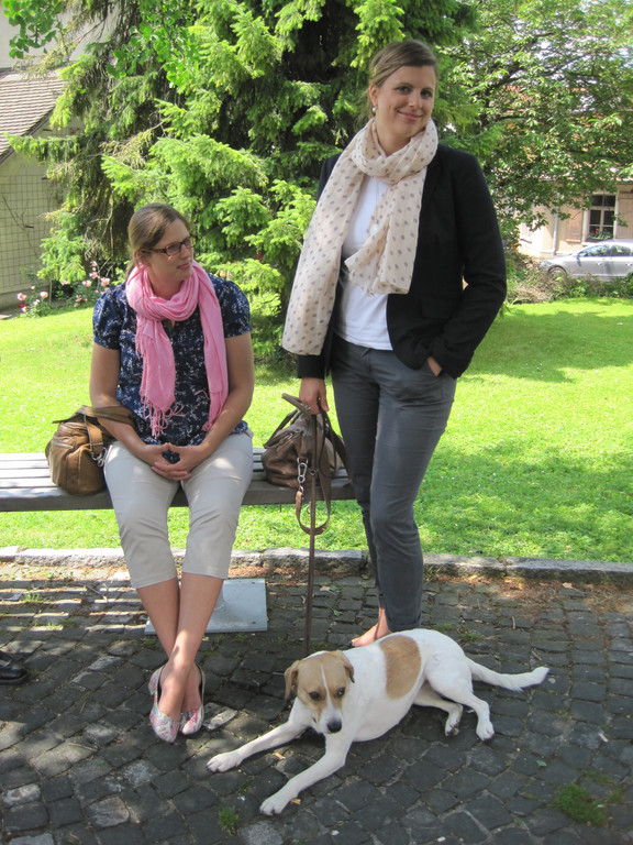 IMG_3800_JPG-1340522138