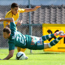 titel austria miesenboeck.jpg