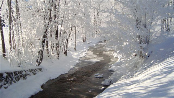 DSC02131.JPG