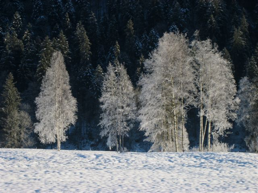 IMG_1641.jpg