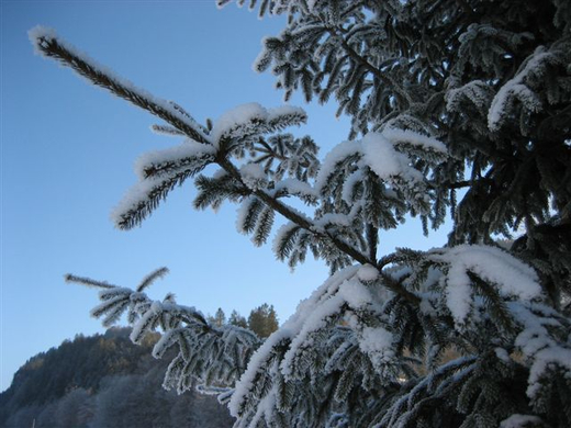 IMG_2767.JPG