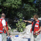 450_450_33243_CIMG1157.jpg